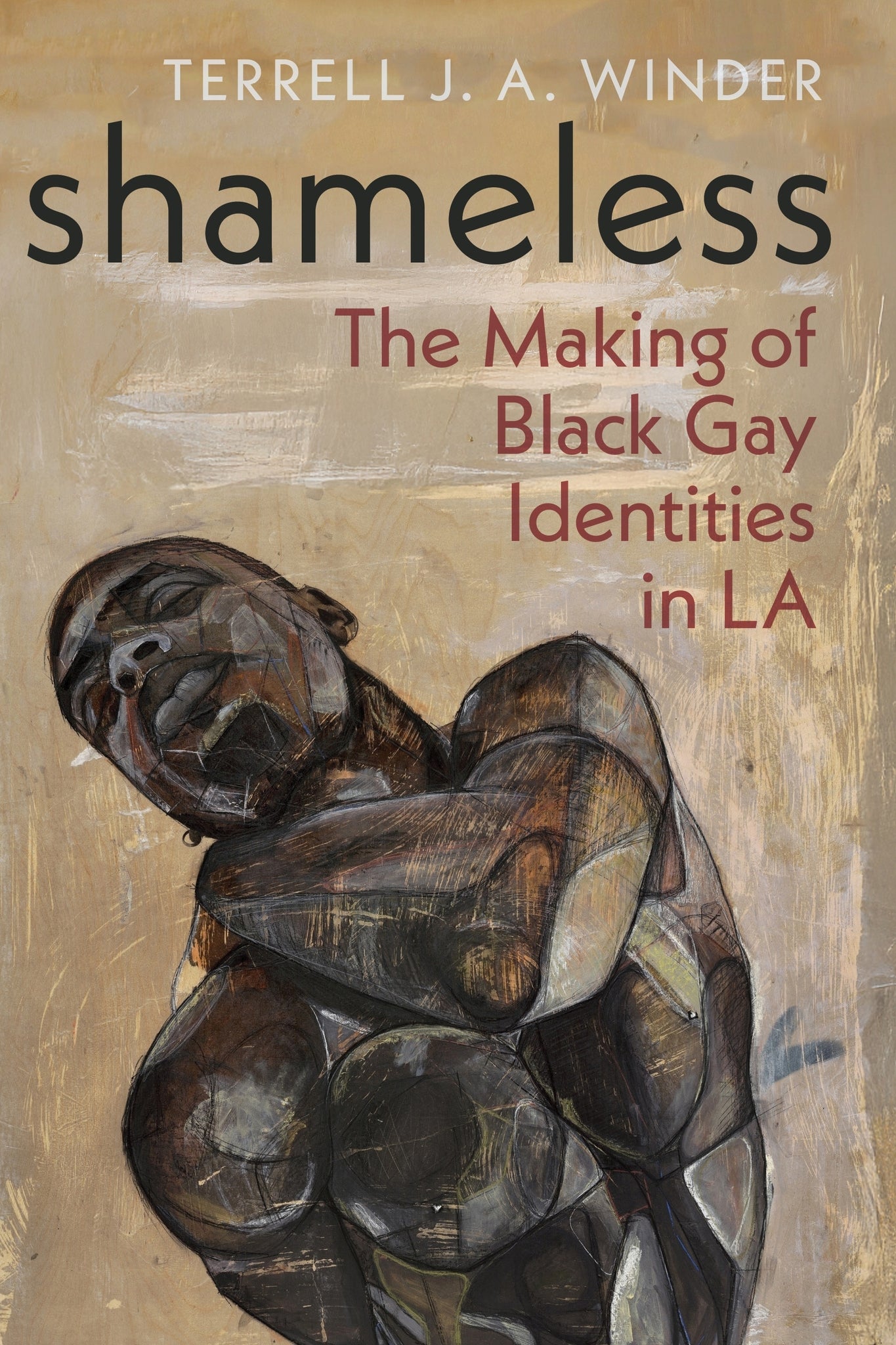 Cover image for Shameless ISBN 9781479827589